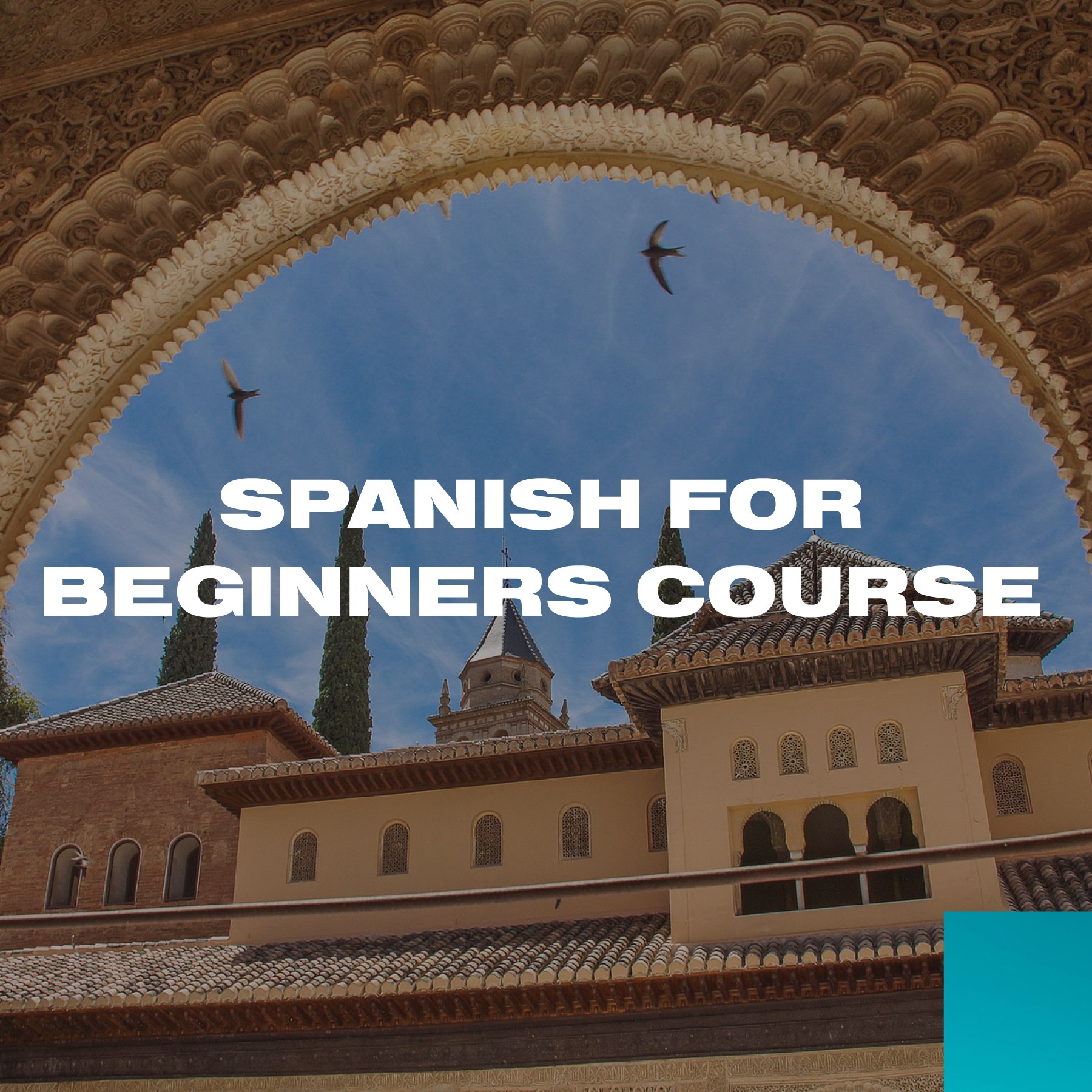 Spanish Course | Learn a Language