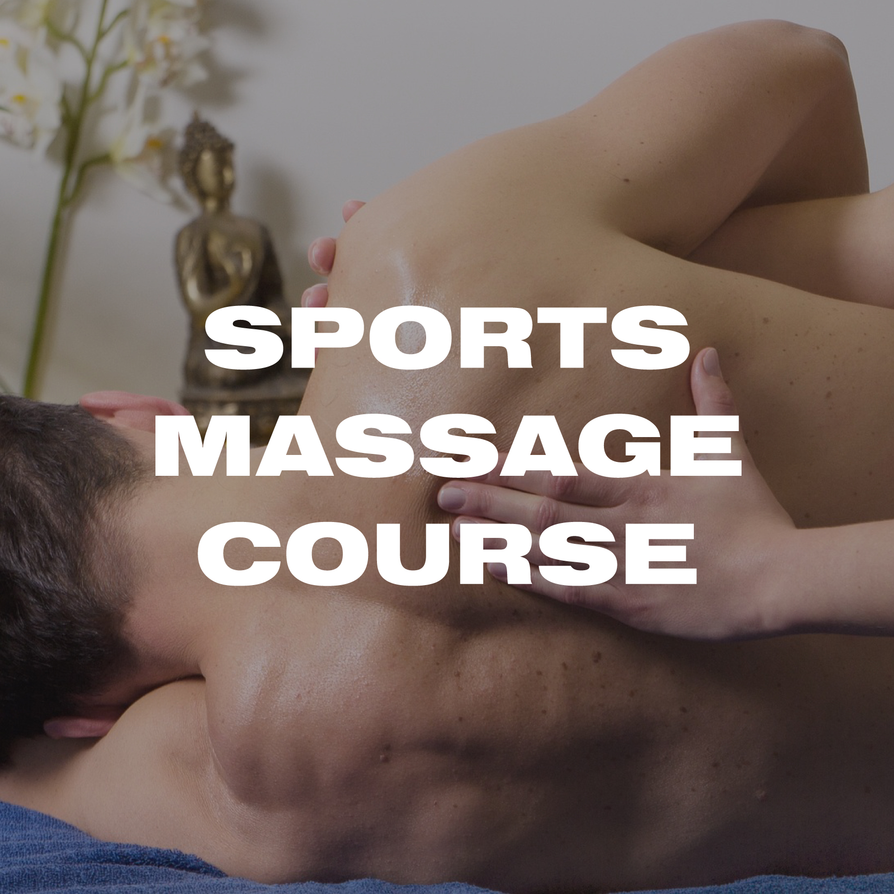 Sports Massage Course | The Fitness Group